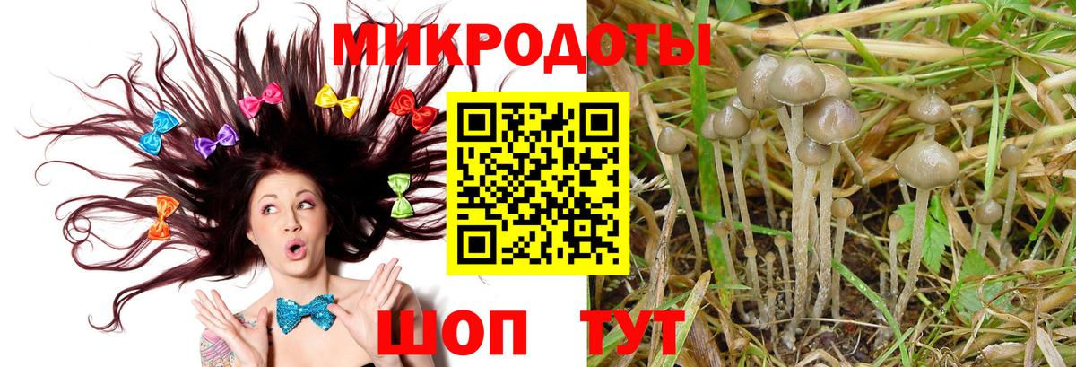 Псилоцибиновые грибы прущие грибы Батайск